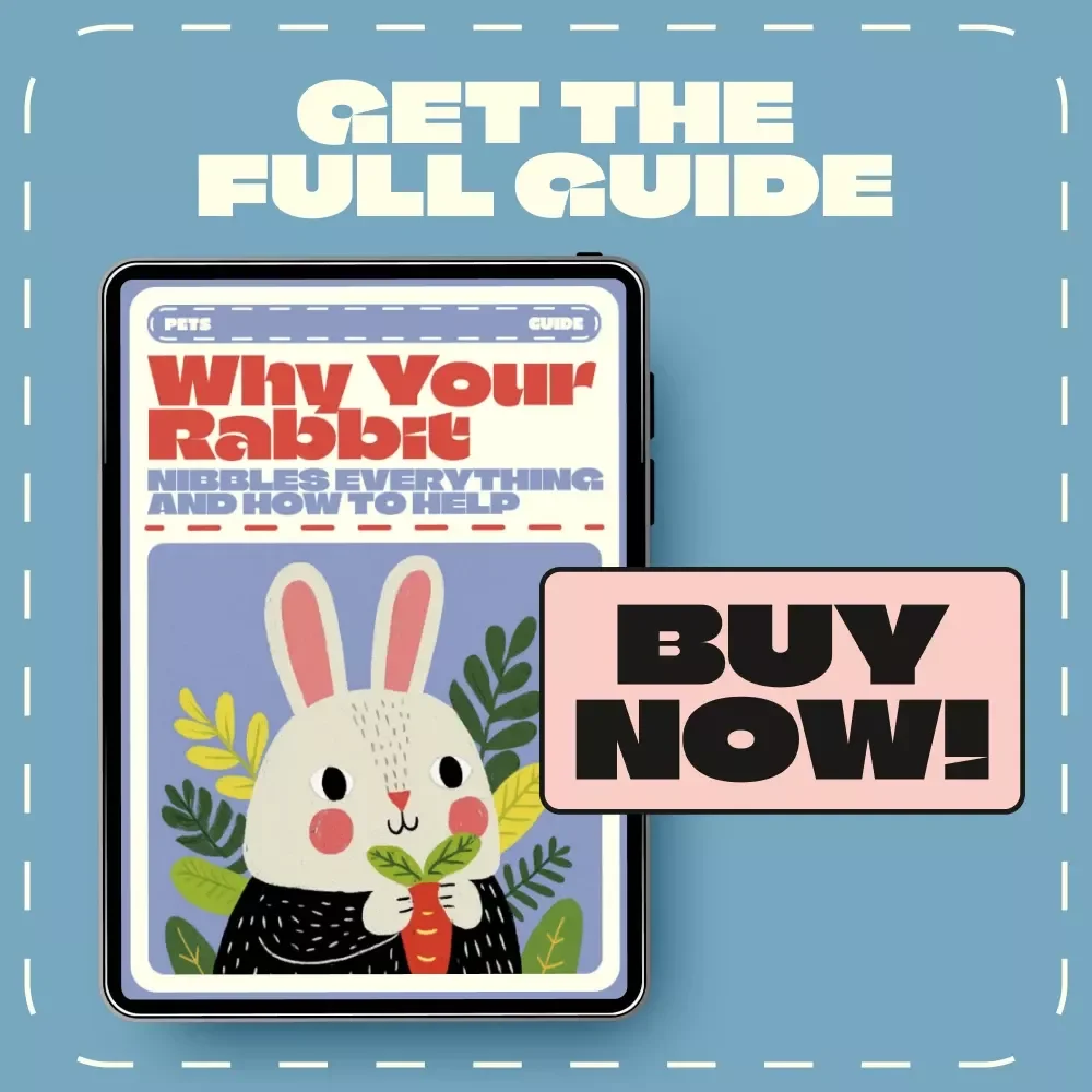 Why Your Rabbit Nibbles Everything and How to Help | Rabbit Chewing Guide | Stop Destructive Chewing Behavior | why is my rabbit chewing everything | Bunny Training & Care eBook