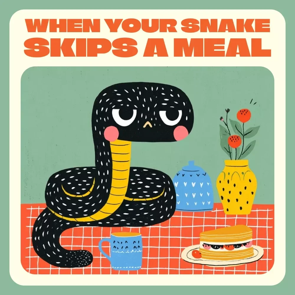 When Your Snake Skips a Meal – Ultimate Guide for Snake Owners | Why Is My Snake Refusing Food? Digital Feeding & Care Handbook