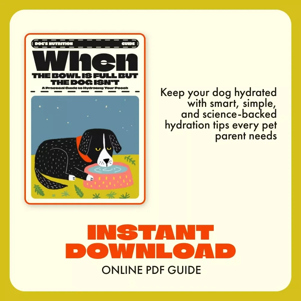 When the Bowl is Full but the Dog Isn’t: A Practical Guide to Hydrating Your Pooch | Dog Hydration eBook | Digital Download for Pet Owners | what to do when your dog won't drink water