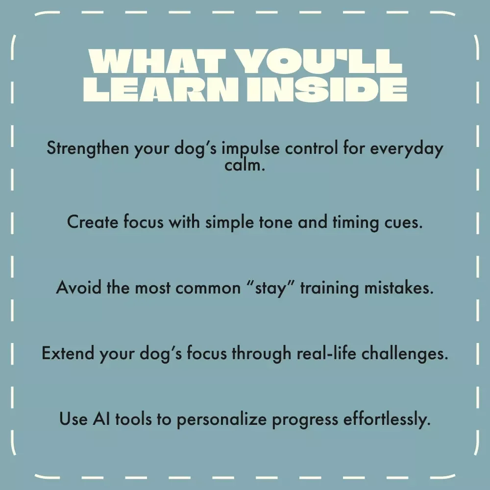 Teach Your Dog to Stay Calm | Dog Training eBook for Beginners | Step-by-Step Guide on How to Teach a Dog to Stay | Digital Download Pet Training Manual