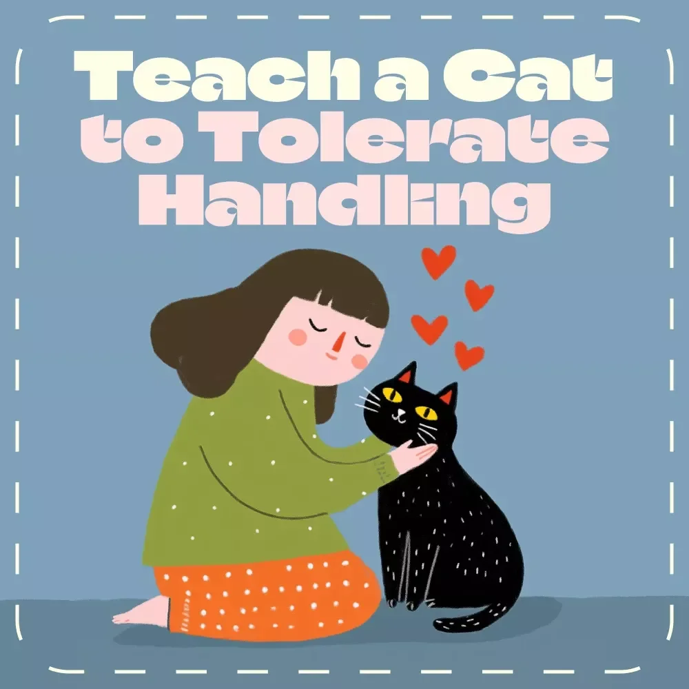 Teaching Your Cat to Love Gentle Handling | Printable Cat Training Guide | How to Teach a Cat to Tolerate Handling | Feline Behavior & Trust-Building eBook