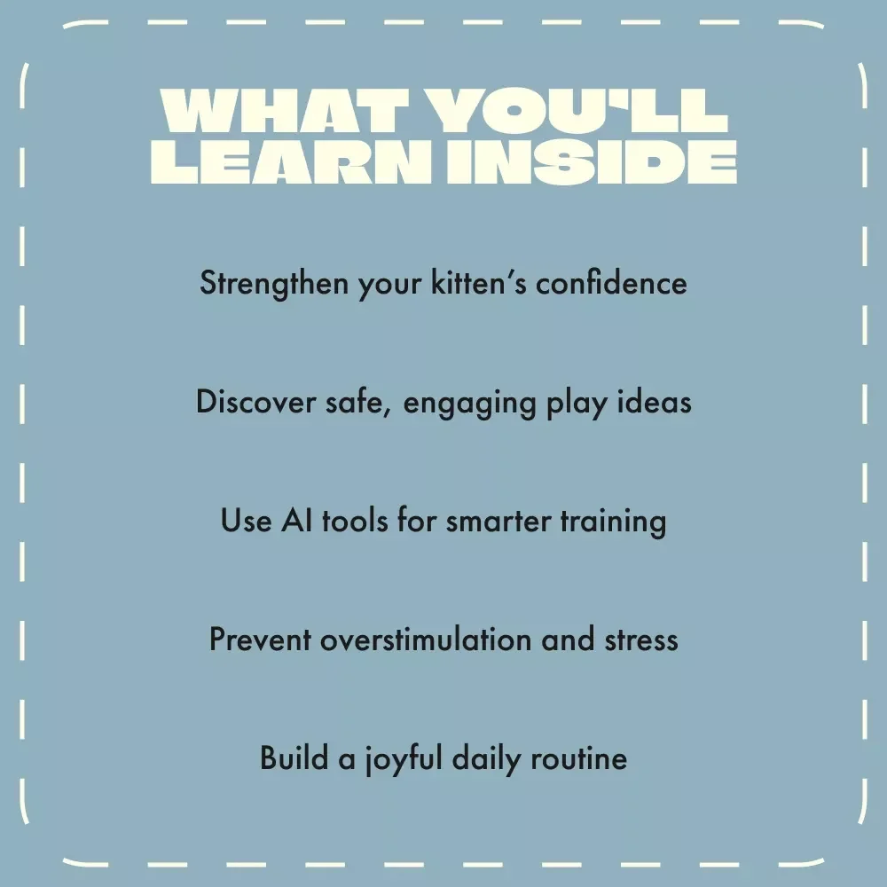 Pounce, Play, and Purr: A Guide to Fun with Your Kitten | The Best Way to Play with a Kitten | Digital Download eBook for Cat Lovers