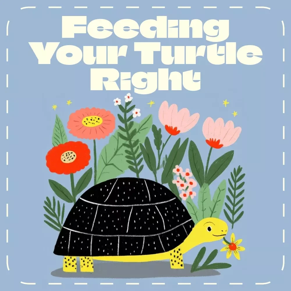 Feeding Your Turtle Right – Printable Turtle Feeding Checklist | Pet Turtle Care Guide | Digital Download for What to Feed Pet Turtles