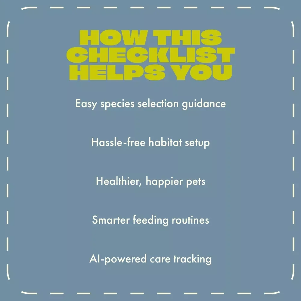 Lizard Lovers’ Pet Checklist | Digital Download Guide for Reptile Owners | Best Pet Lizards Care Essentials for Beginners & Enthusiasts