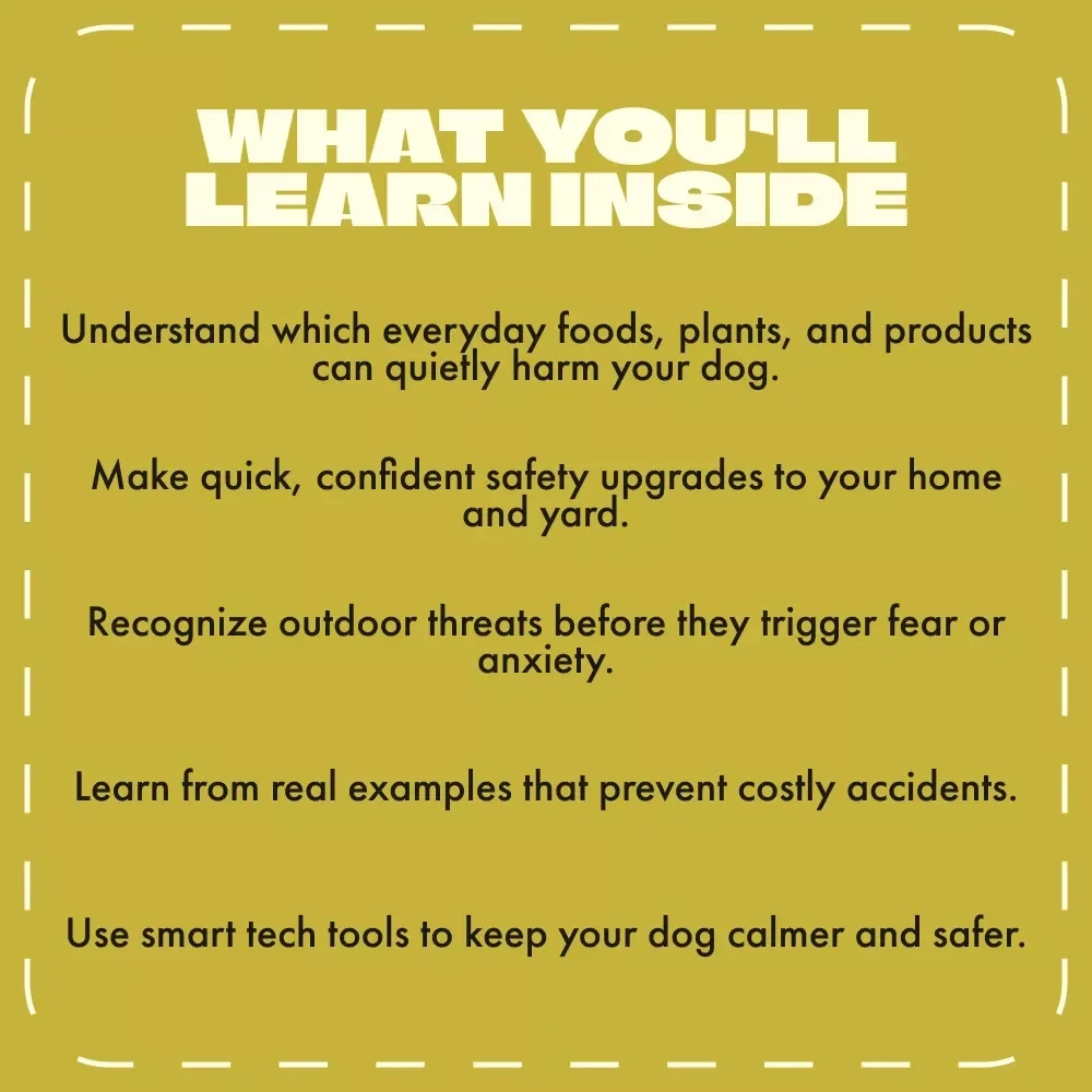 The Guide to Keeping Dangerous Things Away from Your Dog | Digital Pet Safety Guide for Responsible Dog Owners | Learn What to Keep Away from Dogs