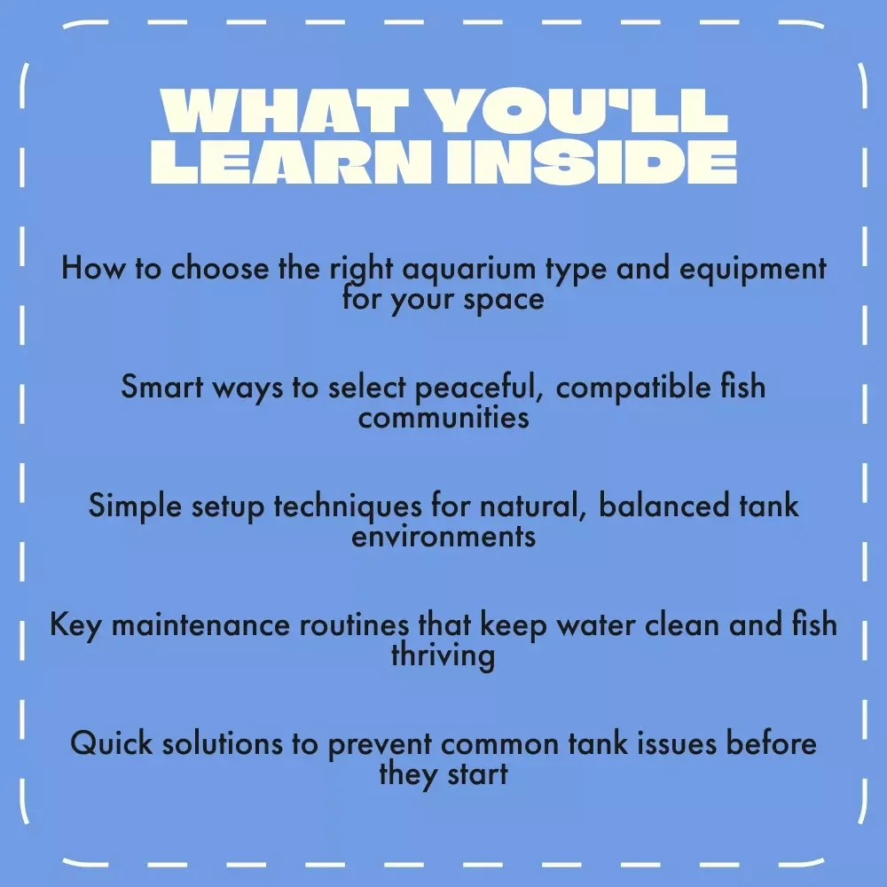 Fish Tank Setup Basics | Beginner’s Guide eBook for Freshwater & Saltwater Aquariums | Digital Download Aquarium Care & Setup Tutorial