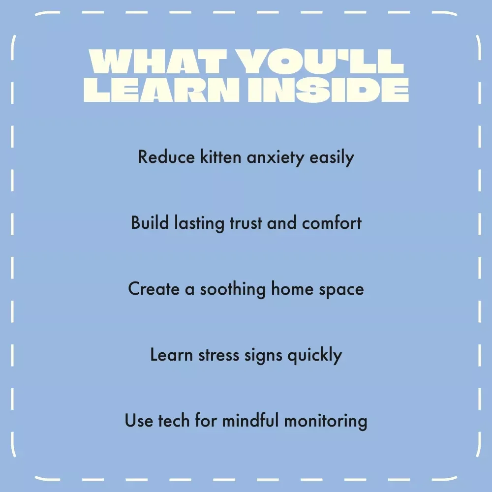 Calm & Curious: Managing Kitten Stress in Their First Days | Digital Guide for New Cat Owners | How to Manage Kitten Stress During First Days | Printable eBook for Gentle Socialization & Comfort