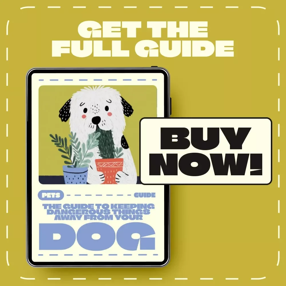 The Guide to Keeping Dangerous Things Away from Your Dog | Digital Pet Safety Guide for Responsible Dog Owners | Learn What to Keep Away from Dogs