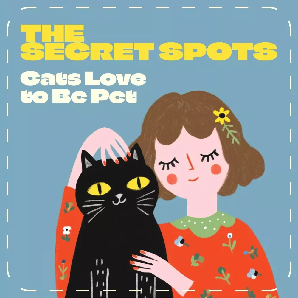 The Secret Spots Cats Love to Be Pet | Ultimate Guide on Where Do Cats Like to Be Pet | Feline Trust & Connection eBook for Cat Lovers