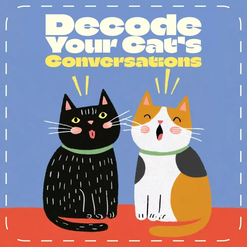 Using AI to Decode Your Cat’s Conversations | Digital Guide for Cat Lovers | How to Use AI to Interpret Cat Meows | Learn Cat Communication with AI Tools