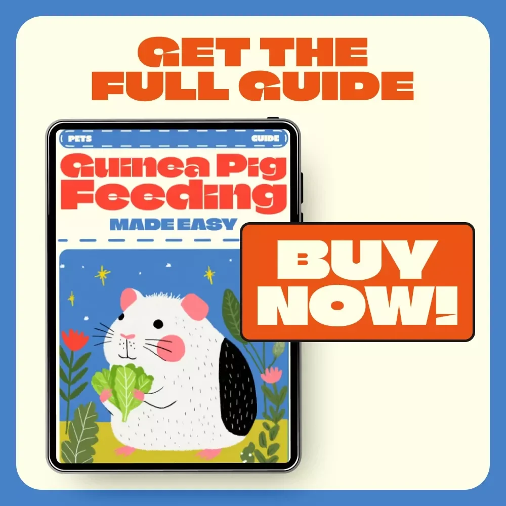 Guinea Pig Feeding Made Easy | Complete Guinea Pig Feeding Schedule Guide for Happy, Healthy Pets | Printable Digital Download for Guinea Pig Owners