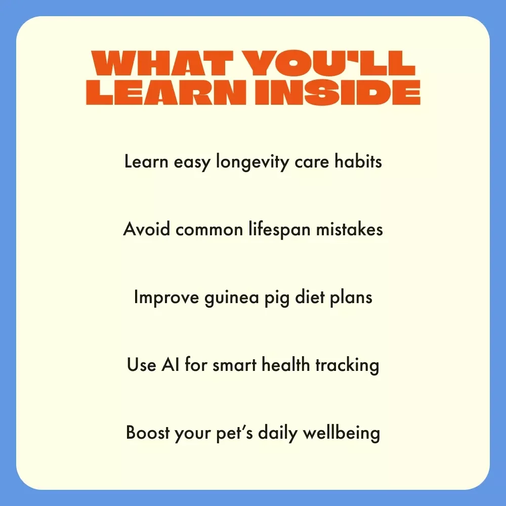 Guinea Pig Lifespan Secrets | How Long Do Guinea Pigs Live | Complete Digital Guide to Caring, Feeding & Extending Your Pet’s Life
