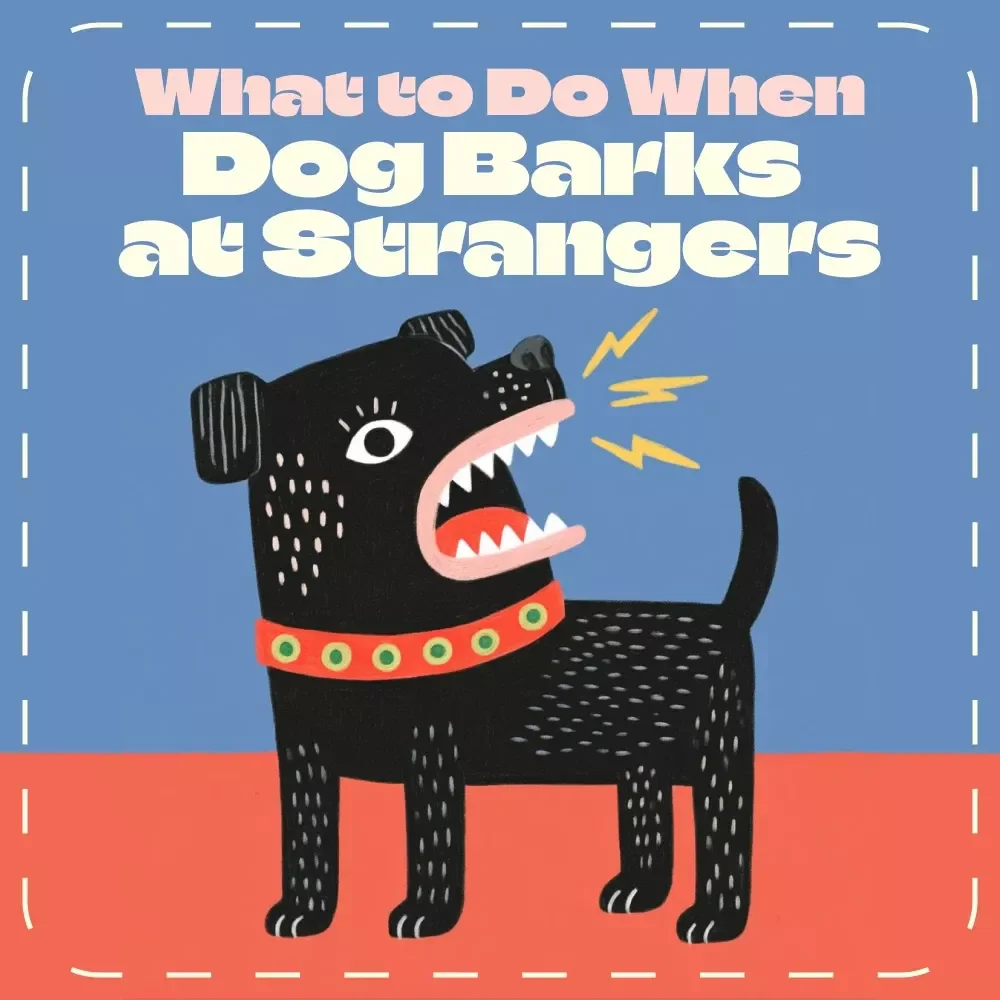 What to Do When Your Dog Barks at Strangers | Printable Dog Training Checklist | Calm Dog Behavior Guide for Reactive Dogs | Instant Digital Download