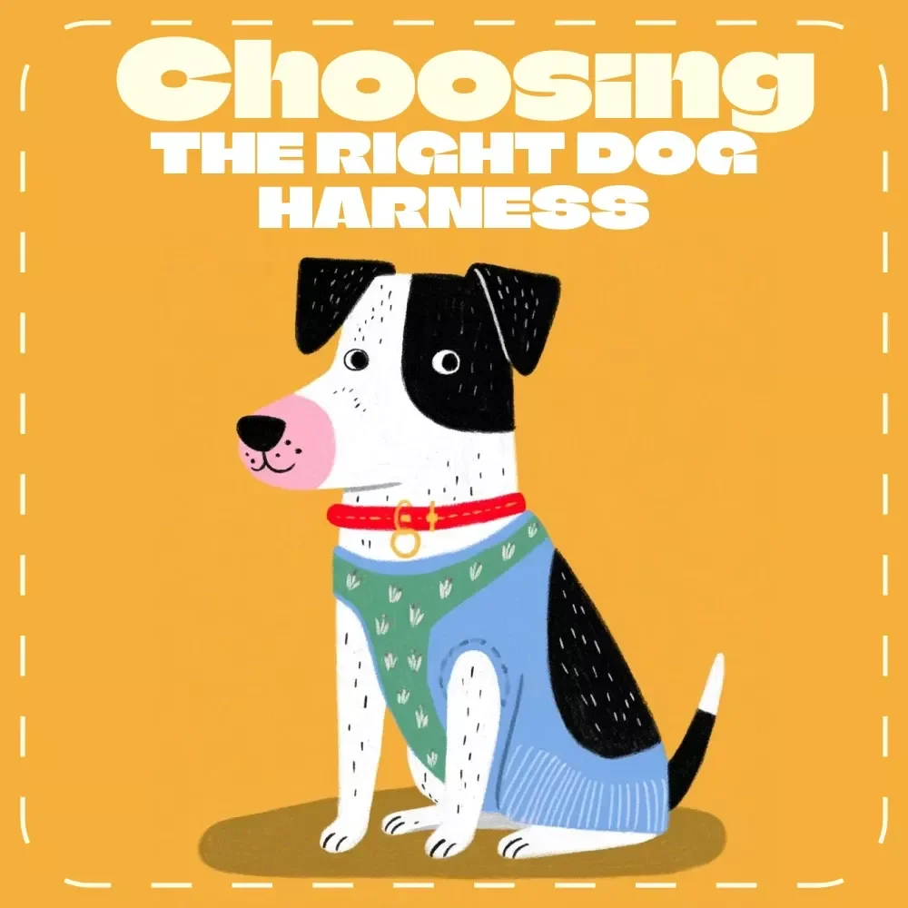 Choosing the Right Dog Harness | Ultimate Guide for Pet Owners | How to Choose the Right Dog Harness | Digital Download eBook for Dog Lovers