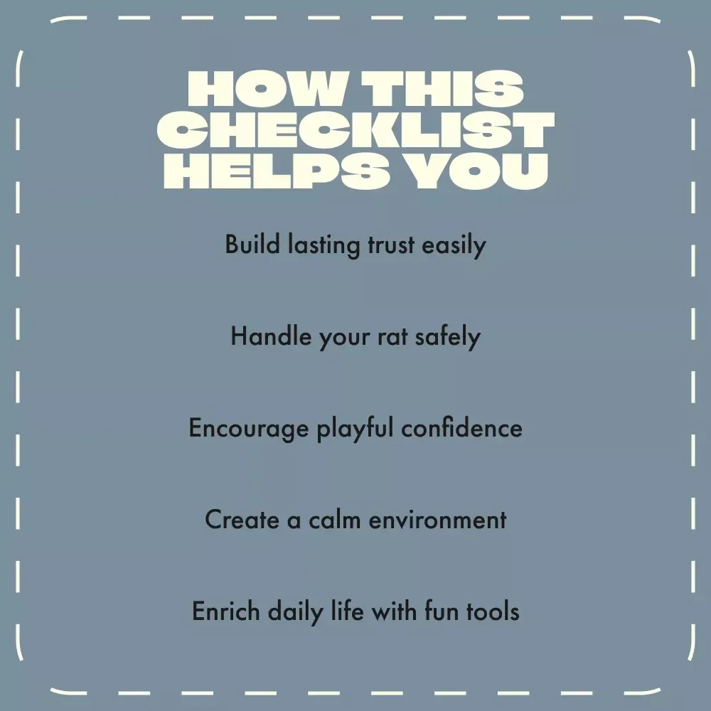 The Fun Guide to Taming Your Pet Rat | Printable Checklist for Beginners | Digital Download on How to Handle a Pet Rat