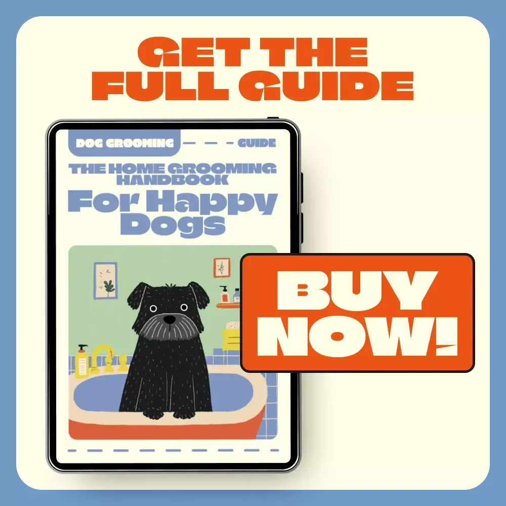 The Home Grooming Handbook for Happy Dogs | How to Groom a Dog at Home | DIY Dog Grooming Guide for Pet Owners