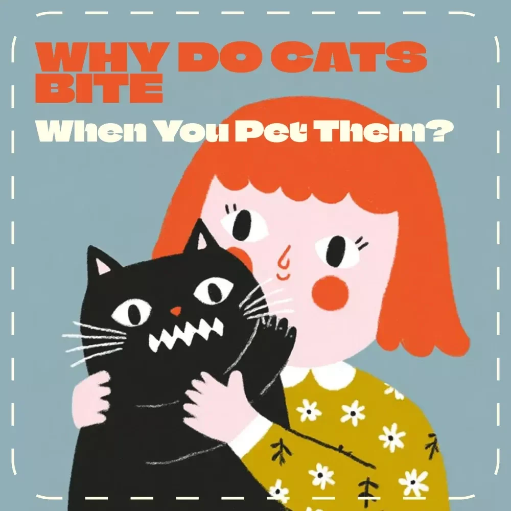 The Truth Behind Petting Bites and Feline Boundaries | Cat Behavior Guide | Why Do Cats Bite When You Pet Them? | Digital Download for Cat Lovers and Pet Parents
