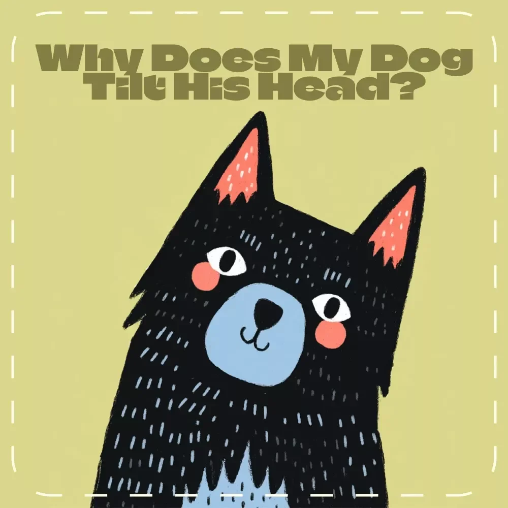 Why Does My Dog Tilt His Head? | Printable Dog Behavior Checklist | Digital Download for Pet Owners Curious About Canine Communication | why does my dog tilt his head Guide