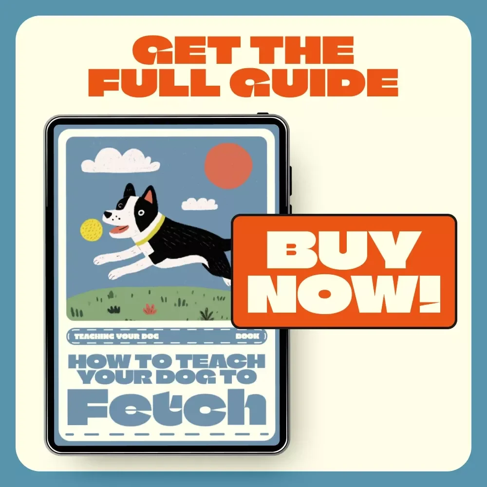 How to Teach Your Dog to Fetch | Dog Training eBook | Step-by-Step Digital Guide for Pet Owners | Learn How to Teach Your Dog to Fetch Easily