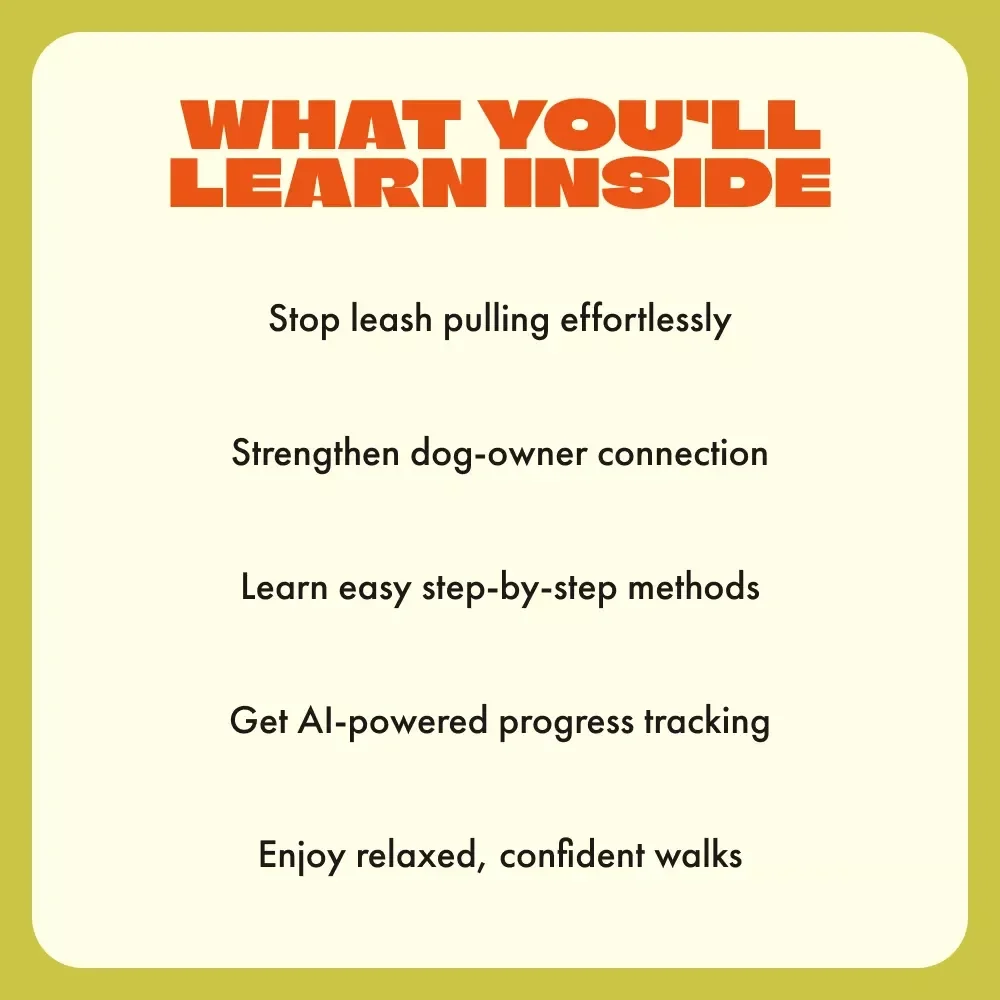 Walk Together Not Tug-of-War | Dog Training Guide | How to Stop a Dog from Pulling on the Leash | Calm, Confident Walks with Your Dog