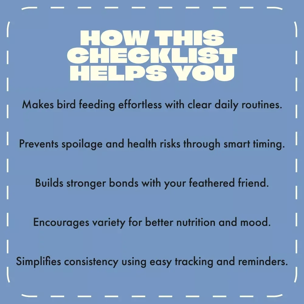 Bird Feeding Schedules Made Simple | Printable Bird Feeding Checklist | Digital Download for Daily Feeding Schedules for Birds