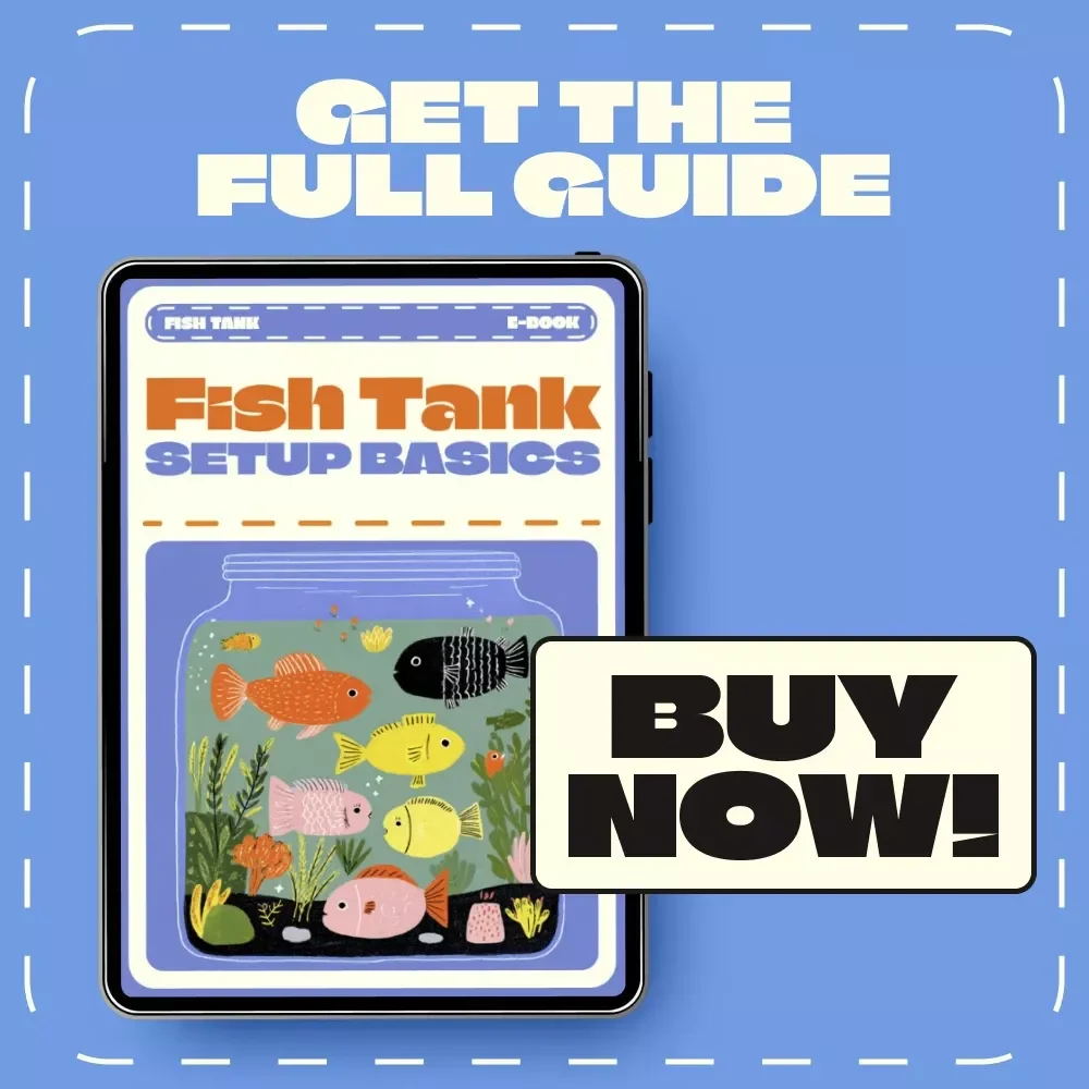 Fish Tank Setup Basics | Beginner’s Guide eBook for Freshwater & Saltwater Aquariums | Digital Download Aquarium Care & Setup Tutorial
