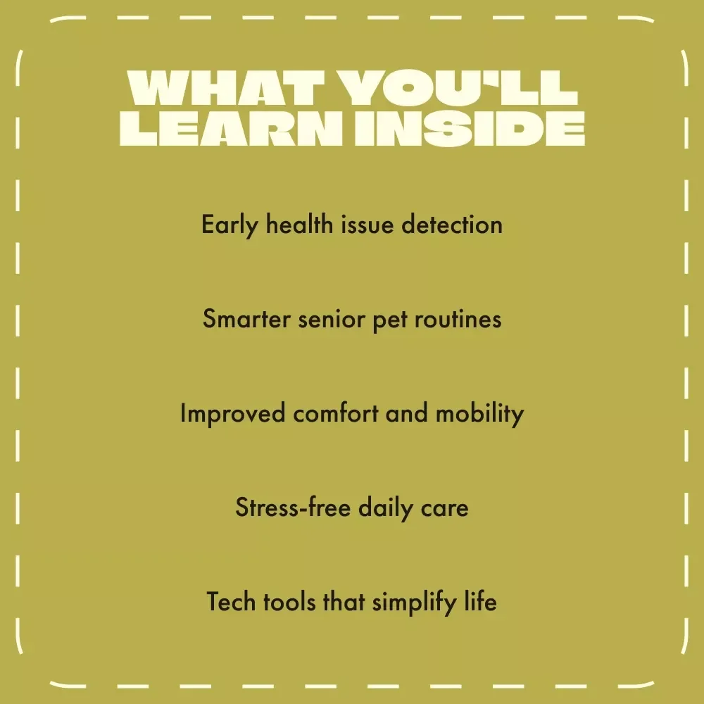 Caring for Older Pets Guide | Digital Download for Pet Owners | How to Plan for Extra Care for Older Pets | Senior Pet Care eBook with AI Tools & Wellness Tips