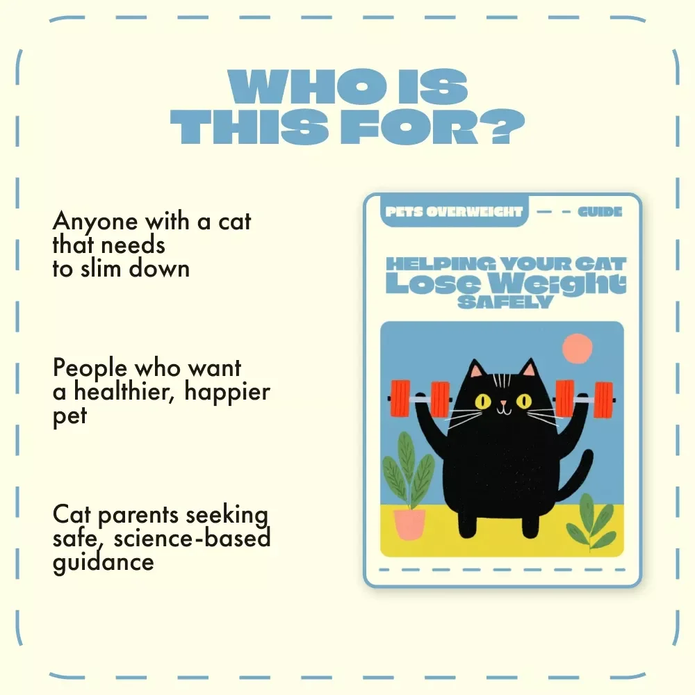 Helping Your Cat Lose Weight Safely | What to Do If Your Cat Is Overweight | Cat Weight Loss eBook & Guide for Pet Parents
