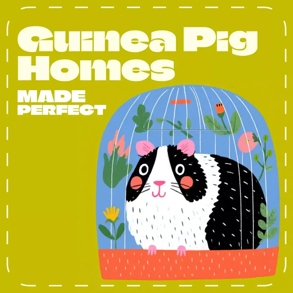 Guinea Pig Homes Made Perfect | Ultimate Guide to the Best Cage Size for Guinea Pigs, Accessories, Layouts & AI Setup Prompts | Printable PDF Download
