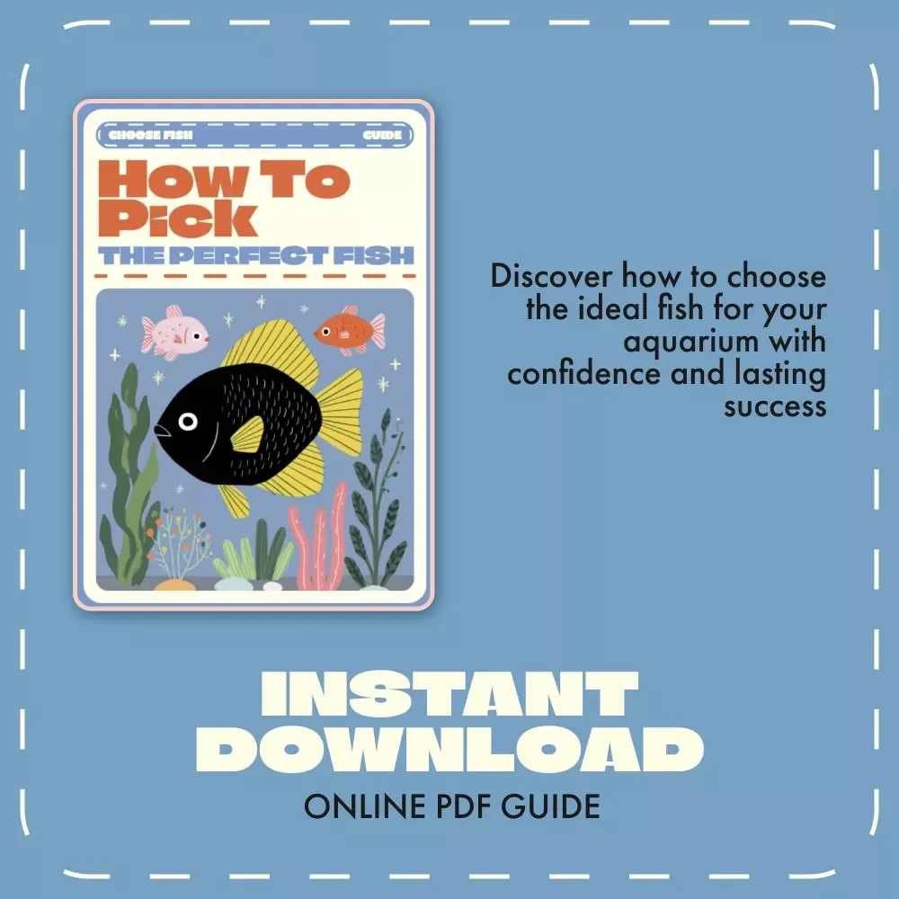 How to Pick the Perfect Fish – Ultimate Digital Guide for Aquarium Lovers | Learn how to choose fish species, create balanced tanks & avoid common mistakes