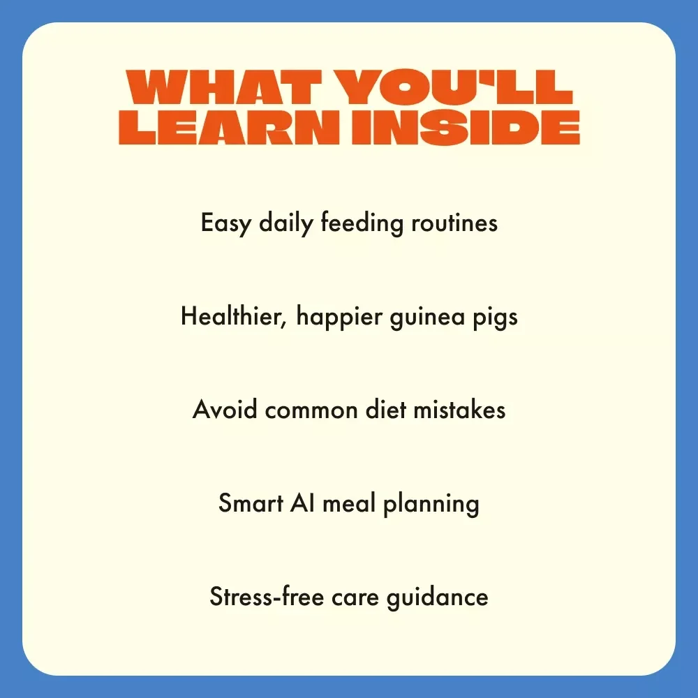 Guinea Pig Feeding Made Easy | Complete Guinea Pig Feeding Schedule Guide for Happy, Healthy Pets | Printable Digital Download for Guinea Pig Owners