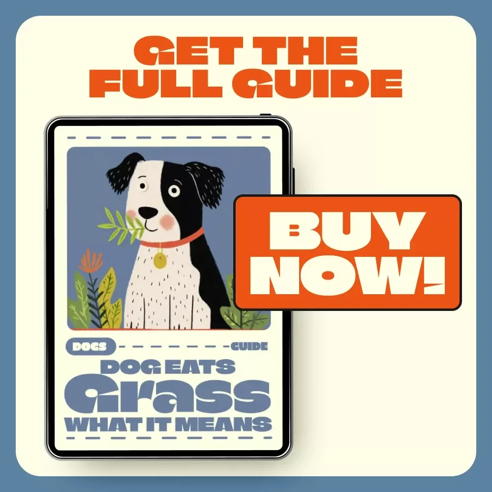 Dog Eats Grass What It Means | Why Does My Dog Eat Grass Guide | Pet Behavior eBook for Dog Owners | Vet-Approved Digital Download for Understanding and Reducing Grass-Eating Habits