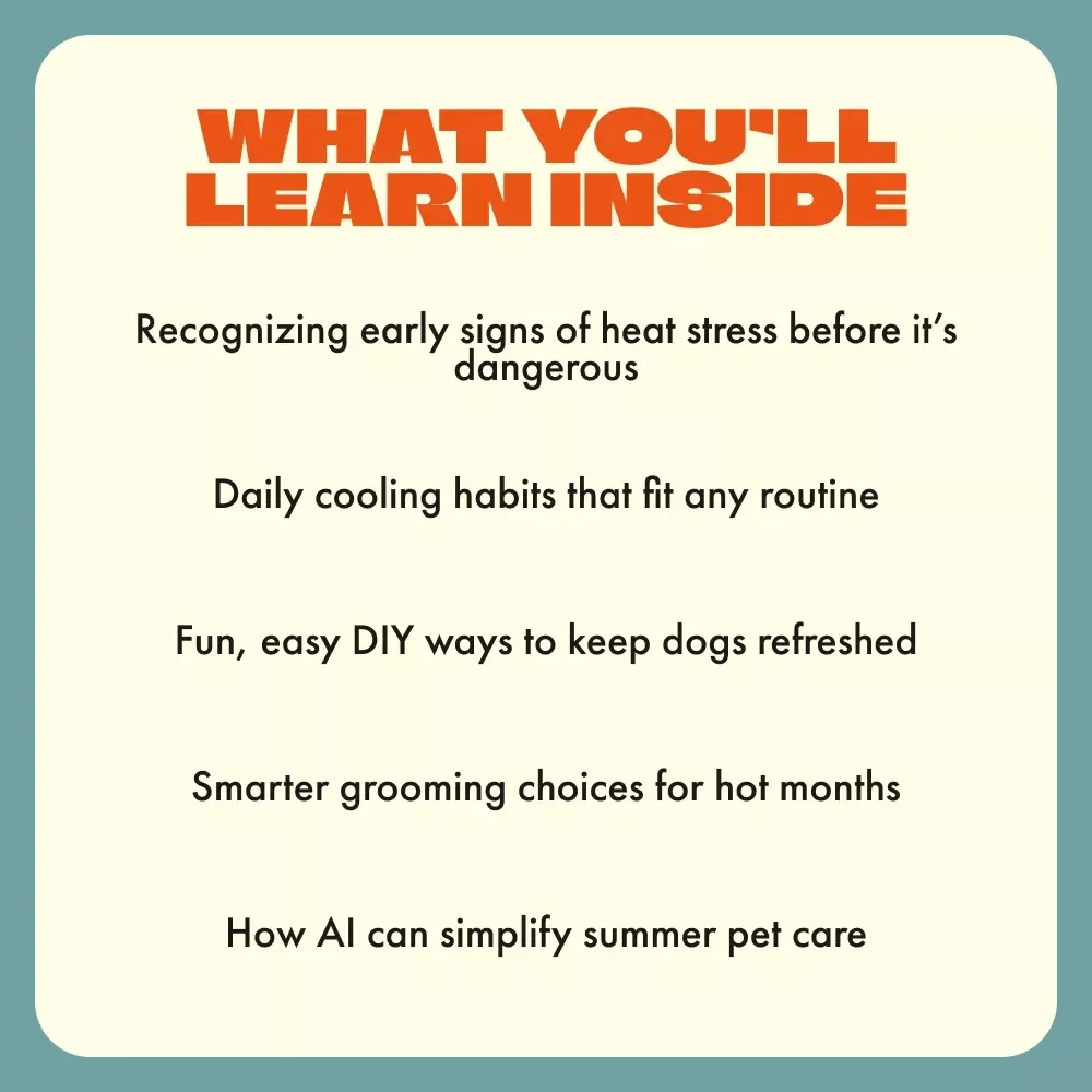 Keep Your Dog Cool and Comfortable | Summer Pet Care Guide | Best Way to Keep Your Dog Cool in Summer | Digital Download for Pet Owners