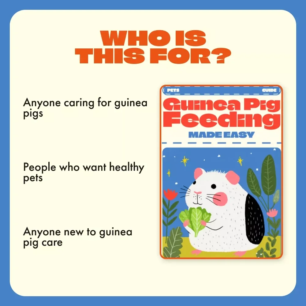 Guinea Pig Feeding Made Easy | Complete Guinea Pig Feeding Schedule Guide for Happy, Healthy Pets | Printable Digital Download for Guinea Pig Owners