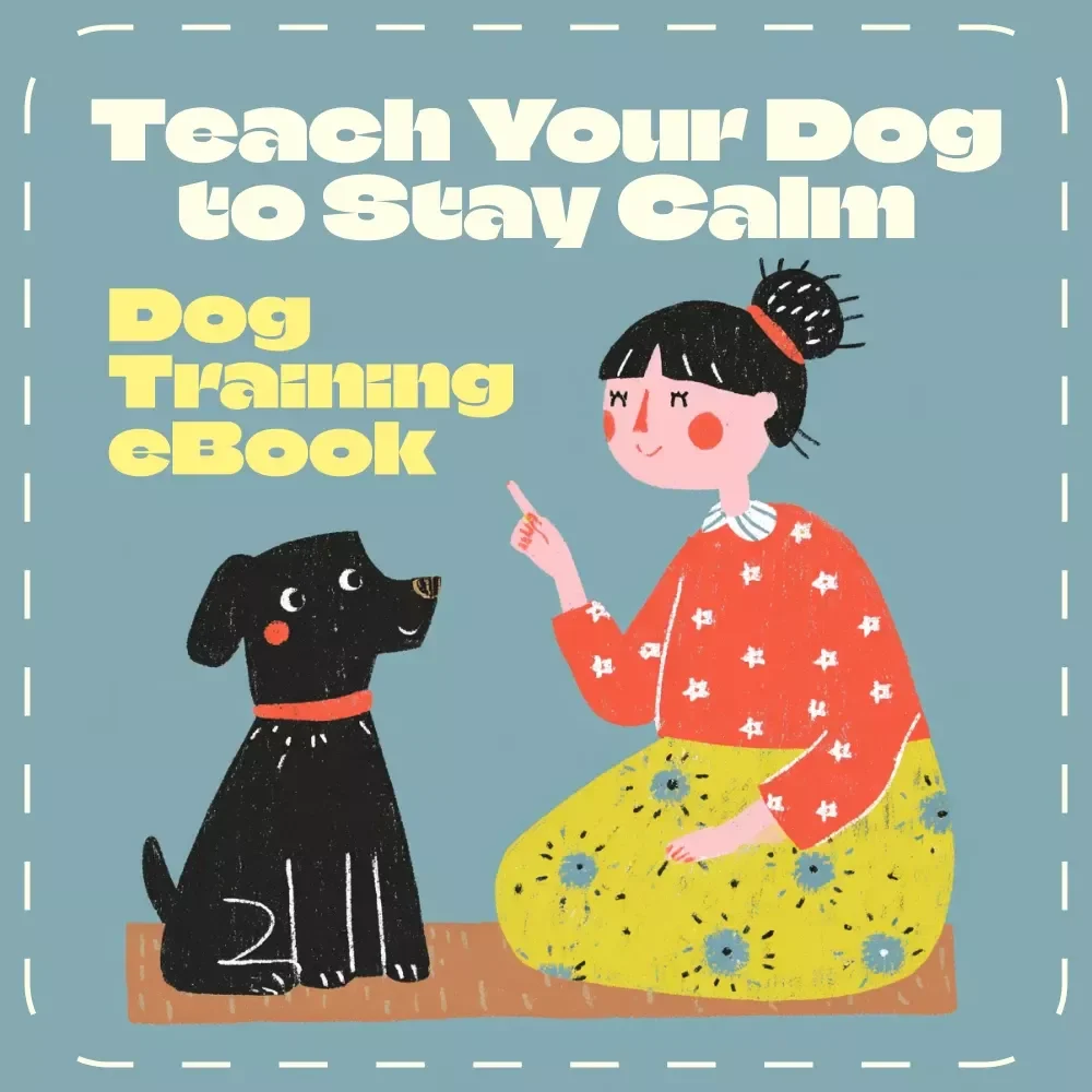 Teach Your Dog to Stay Calm | Dog Training eBook for Beginners | Step-by-Step Guide on How to Teach a Dog to Stay | Digital Download Pet Training Manual