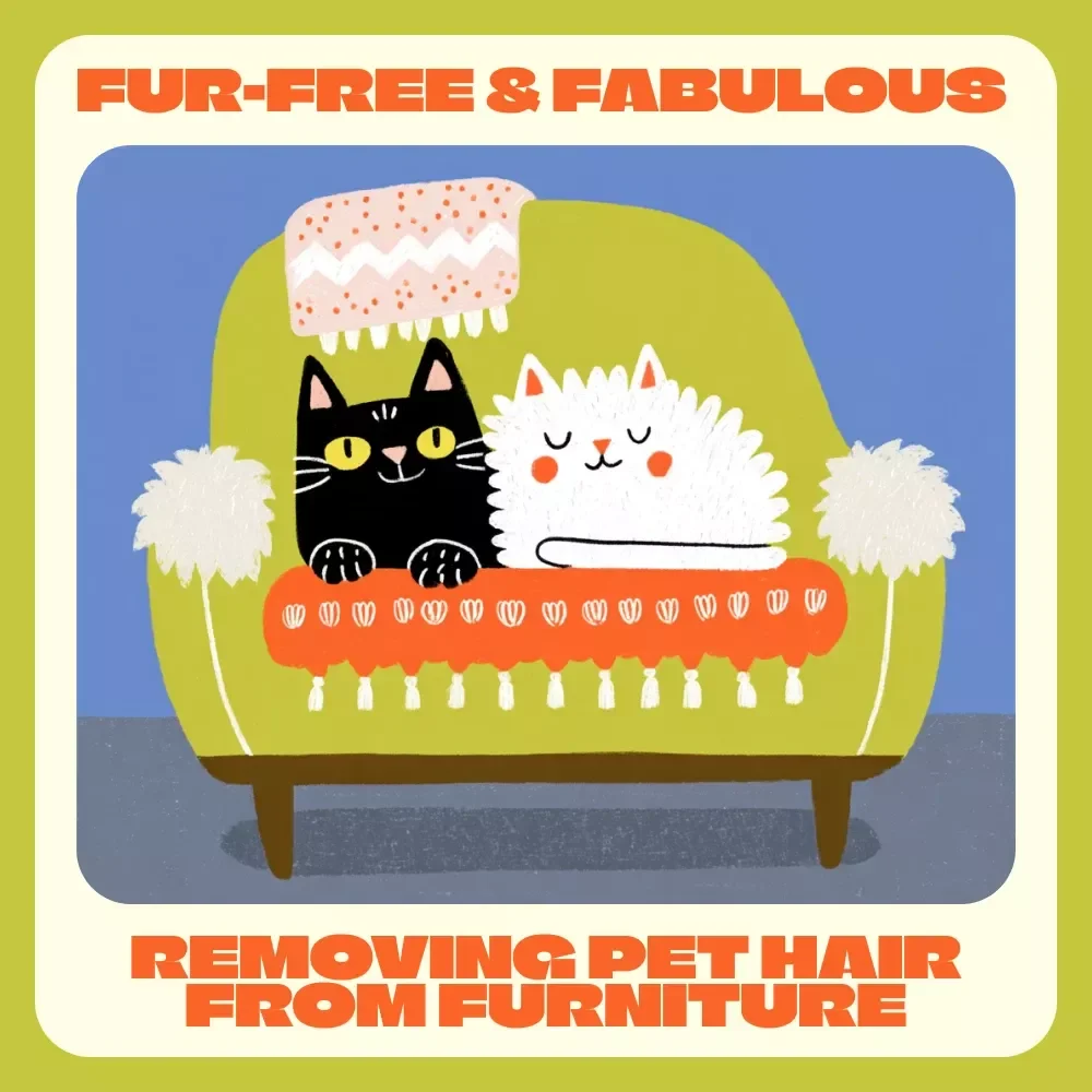 Fur-Free & Fabulous: A Guide to Removing Pet Hair from Furniture | The Ultimate eBook for Pet Owners | Best Way to Remove Pet Hair from Furniture Made Simple