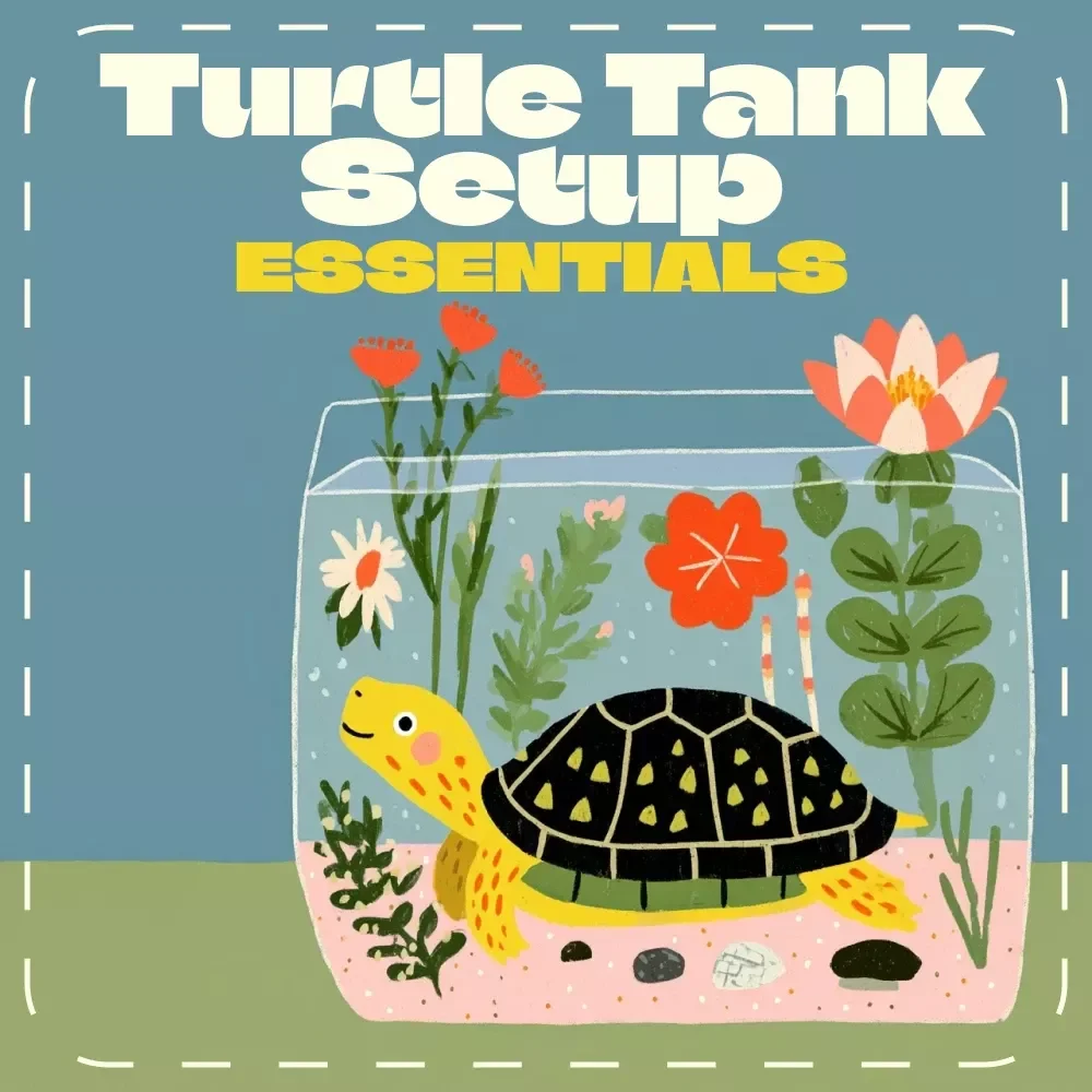 Turtle Tank Setup Essentials | Printable Turtle Tank Setup Guide & Digital Checklist for Perfect Aquarium Care