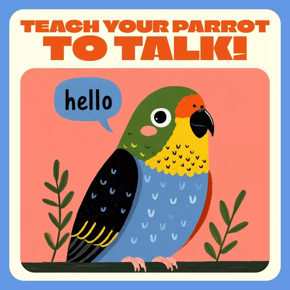 Chirp & Chat: The Fun Checklist to Teach Your Parrot to Talk! | How to Teach a Parrot to Talk | Printable Bird Training Guide