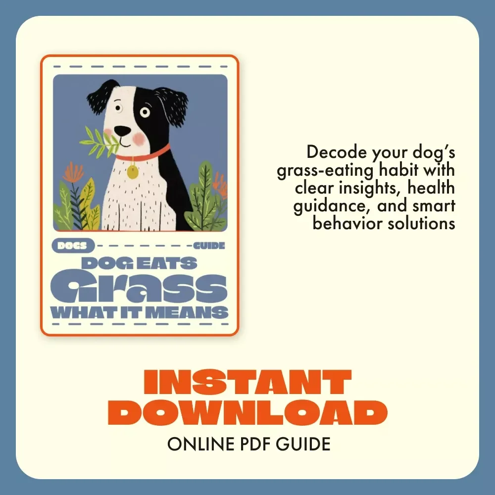 Dog Eats Grass What It Means | Why Does My Dog Eat Grass Guide | Pet Behavior eBook for Dog Owners | Vet-Approved Digital Download for Understanding and Reducing Grass-Eating Habits