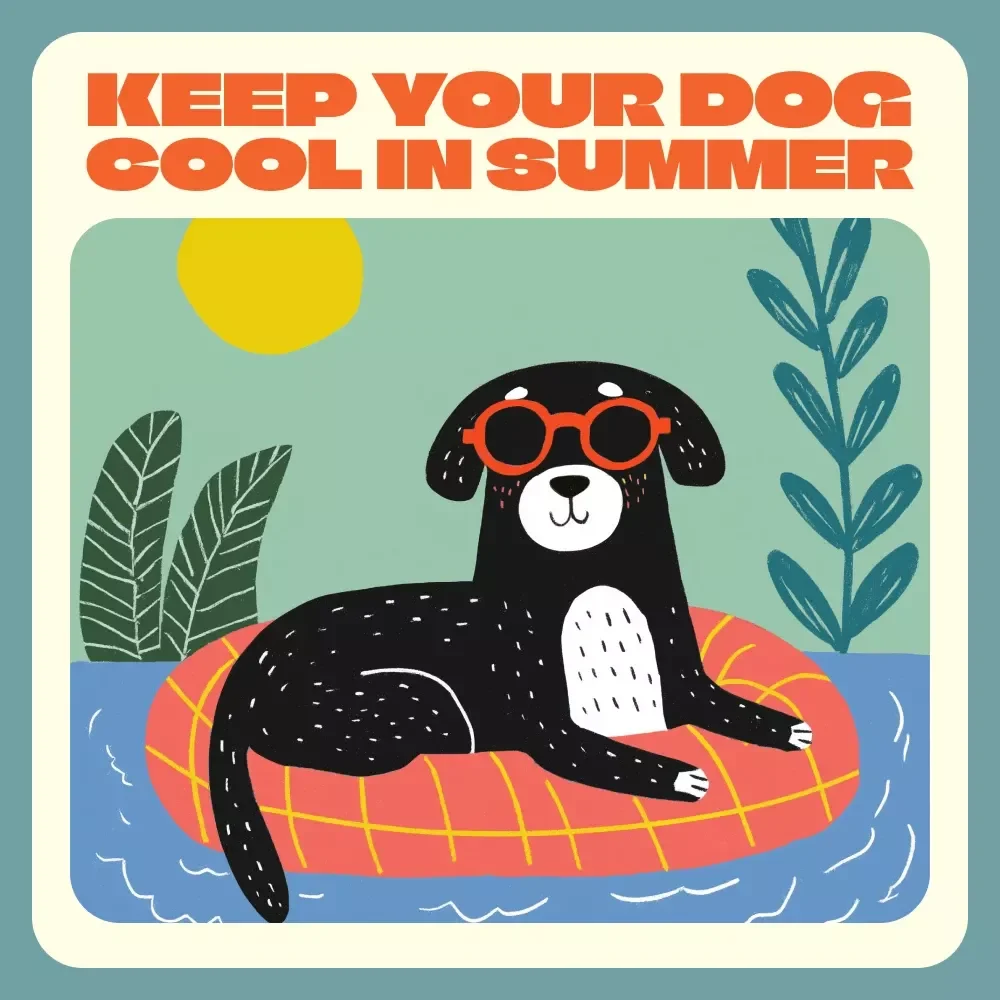 Keep Your Dog Cool and Comfortable | Summer Pet Care Guide | Best Way to Keep Your Dog Cool in Summer | Digital Download for Pet Owners