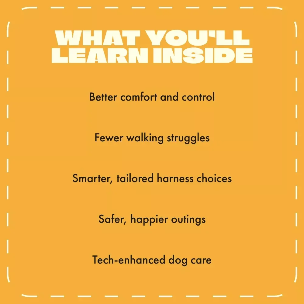 Choosing the Right Dog Harness | Ultimate Guide for Pet Owners | How to Choose the Right Dog Harness | Digital Download eBook for Dog Lovers