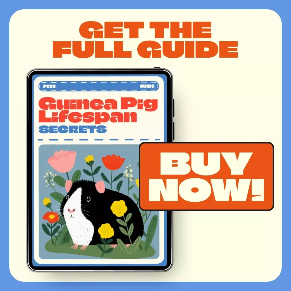 Guinea Pig Lifespan Secrets | How Long Do Guinea Pigs Live | Complete Digital Guide to Caring, Feeding & Extending Your Pet’s Life