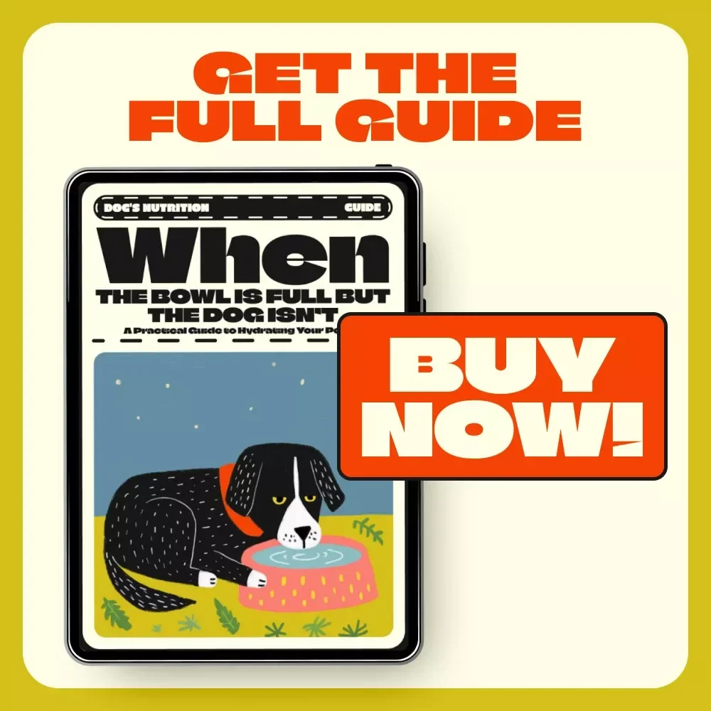 When the Bowl is Full but the Dog Isn’t: A Practical Guide to Hydrating Your Pooch | Dog Hydration eBook | Digital Download for Pet Owners | what to do when your dog won't drink water
