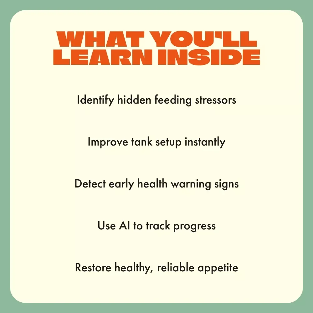 When Your Snake Skips a Meal – Ultimate Guide for Snake Owners | Why Is My Snake Refusing Food? Digital Feeding & Care Handbook
