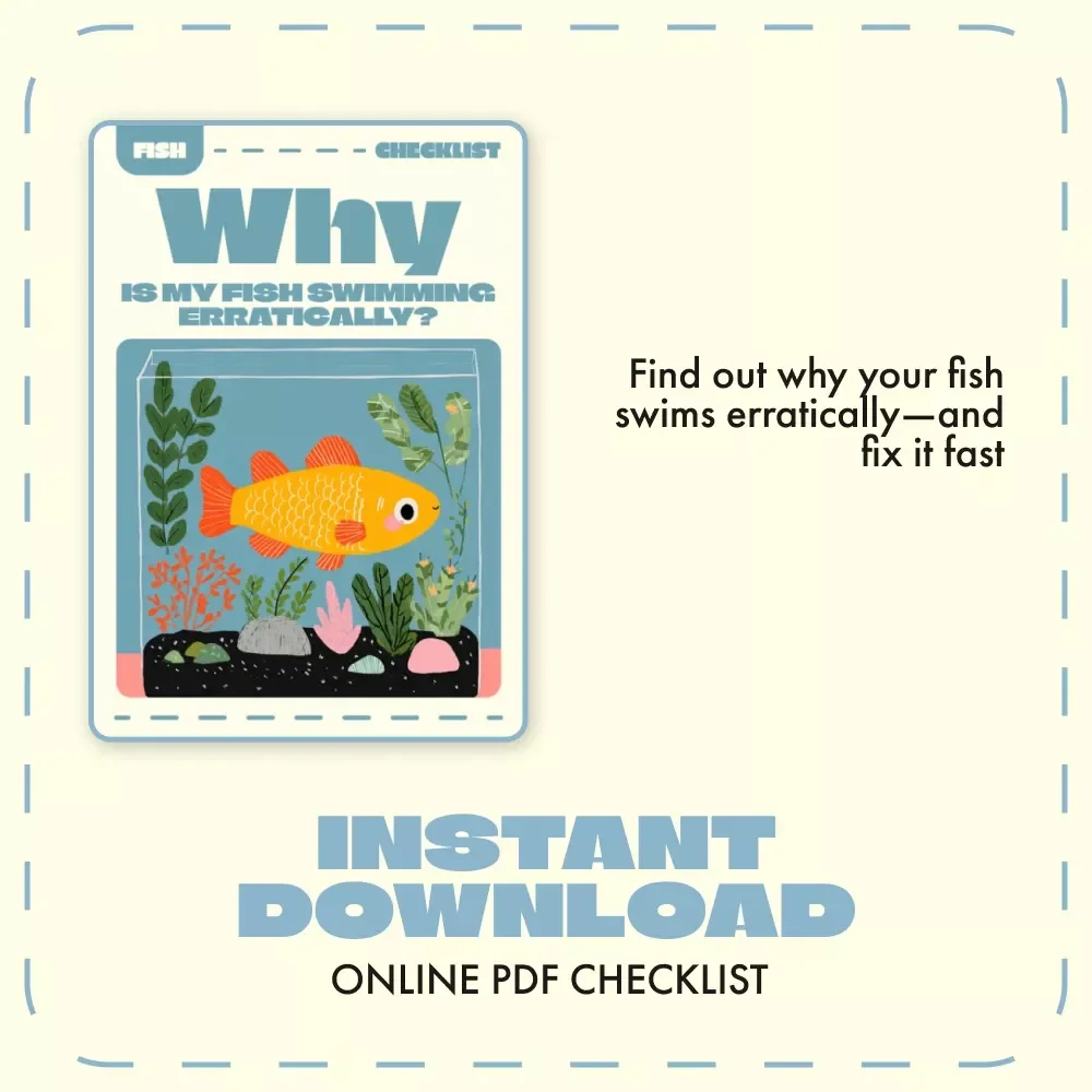 Why Is My Fish Swimming Erratically? — Quick Checklist to Find the Cause | Printable Aquarium Care Guide for Fish Owners | Digital Download