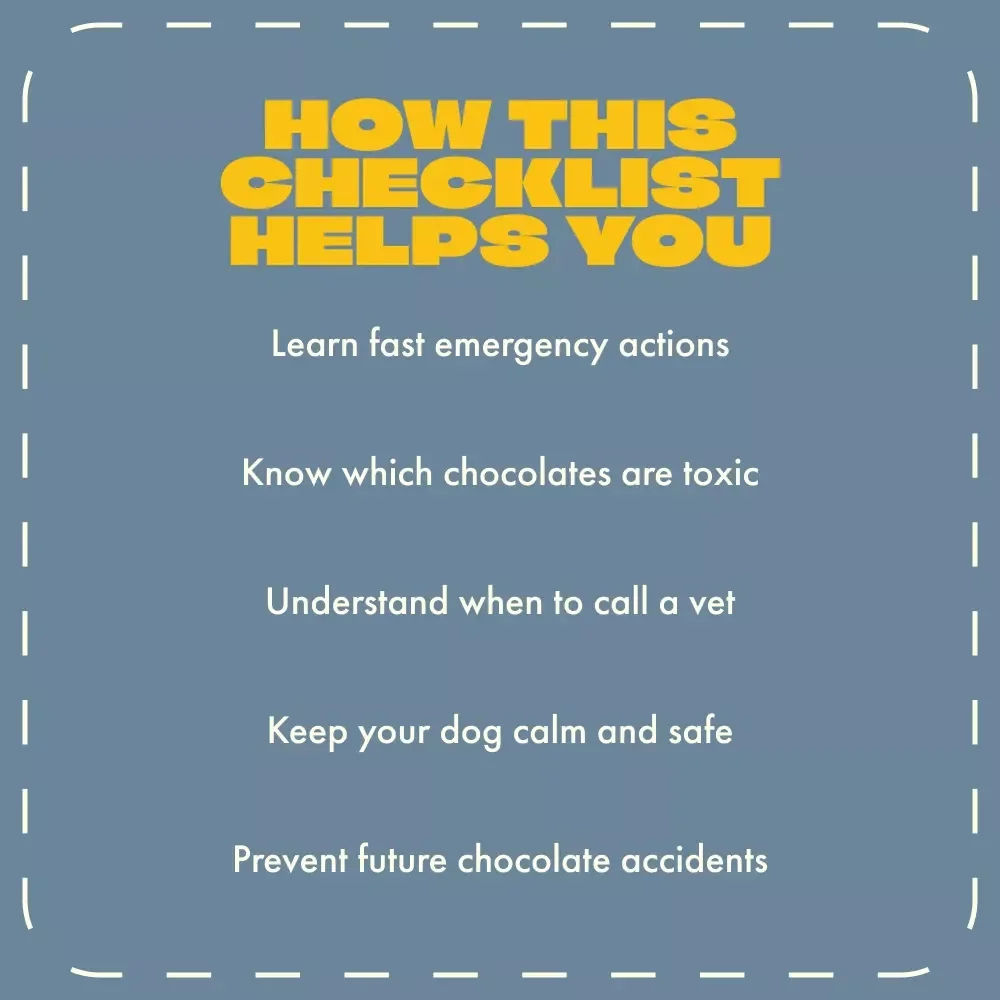 Oh No, My Dog Ate Chocolate – Emergency Pet Care Checklist | What to Do If Your Dog Eats Chocolate | Printable & Digital Pet Safety Guide
