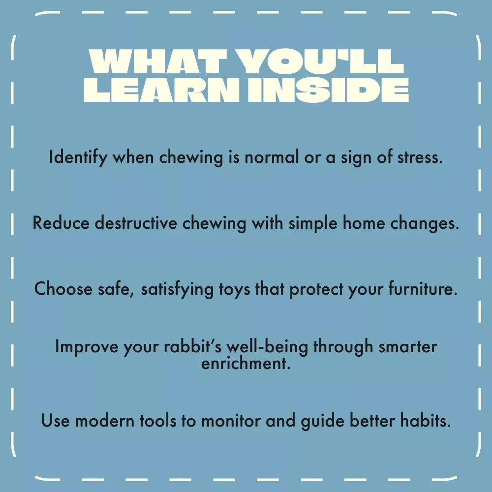 Why Your Rabbit Nibbles Everything and How to Help | Rabbit Chewing Guide | Stop Destructive Chewing Behavior | why is my rabbit chewing everything | Bunny Training & Care eBook