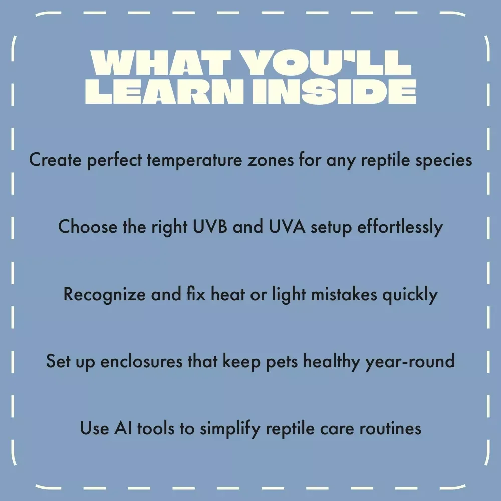 Reptile Heat & Light Essentials | Digital Reptile Care Guide | Temperature and Lighting Care for Reptiles | eBook for Beginners & Enthusiasts