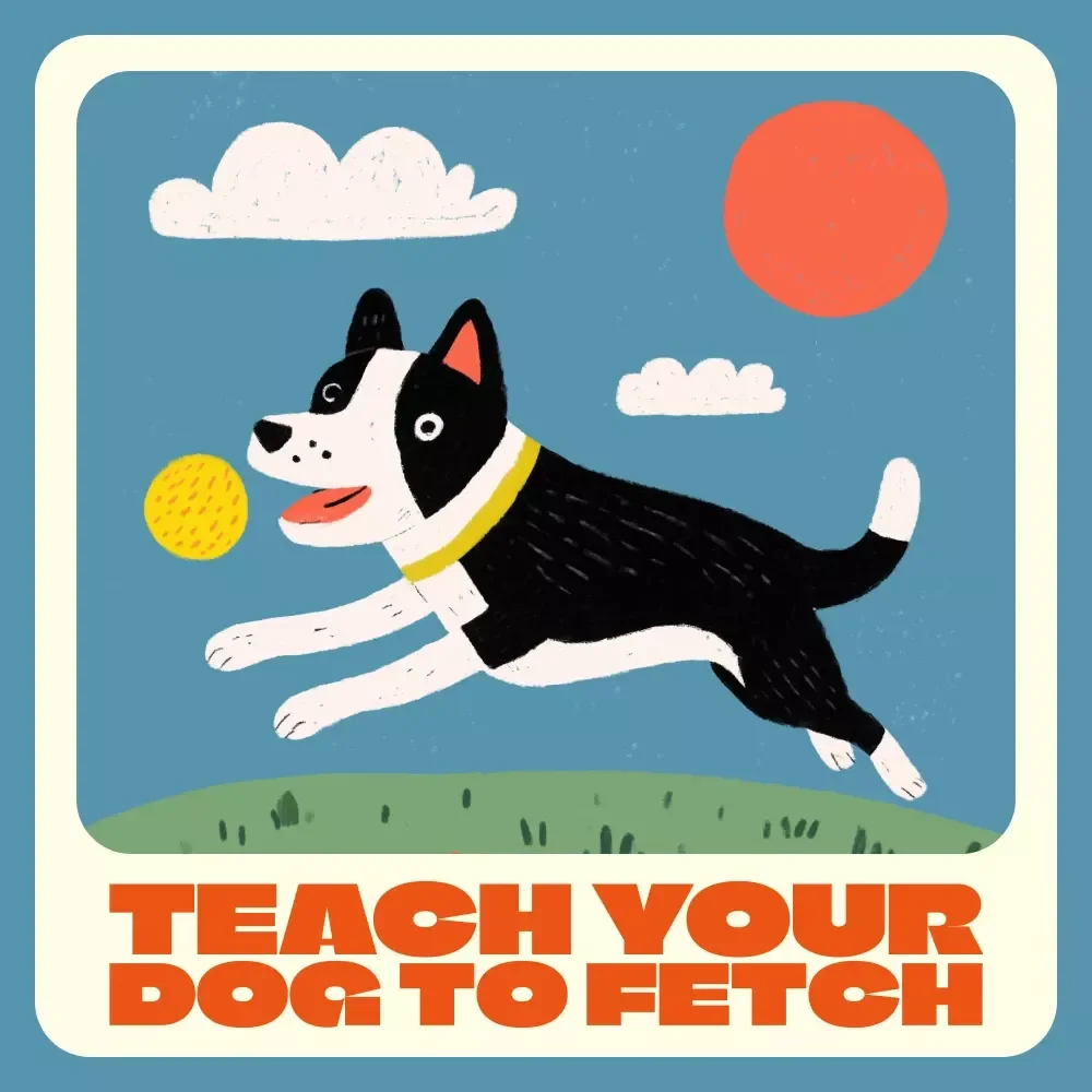 How to Teach Your Dog to Fetch | Dog Training eBook | Step-by-Step Digital Guide for Pet Owners | Learn How to Teach Your Dog to Fetch Easily