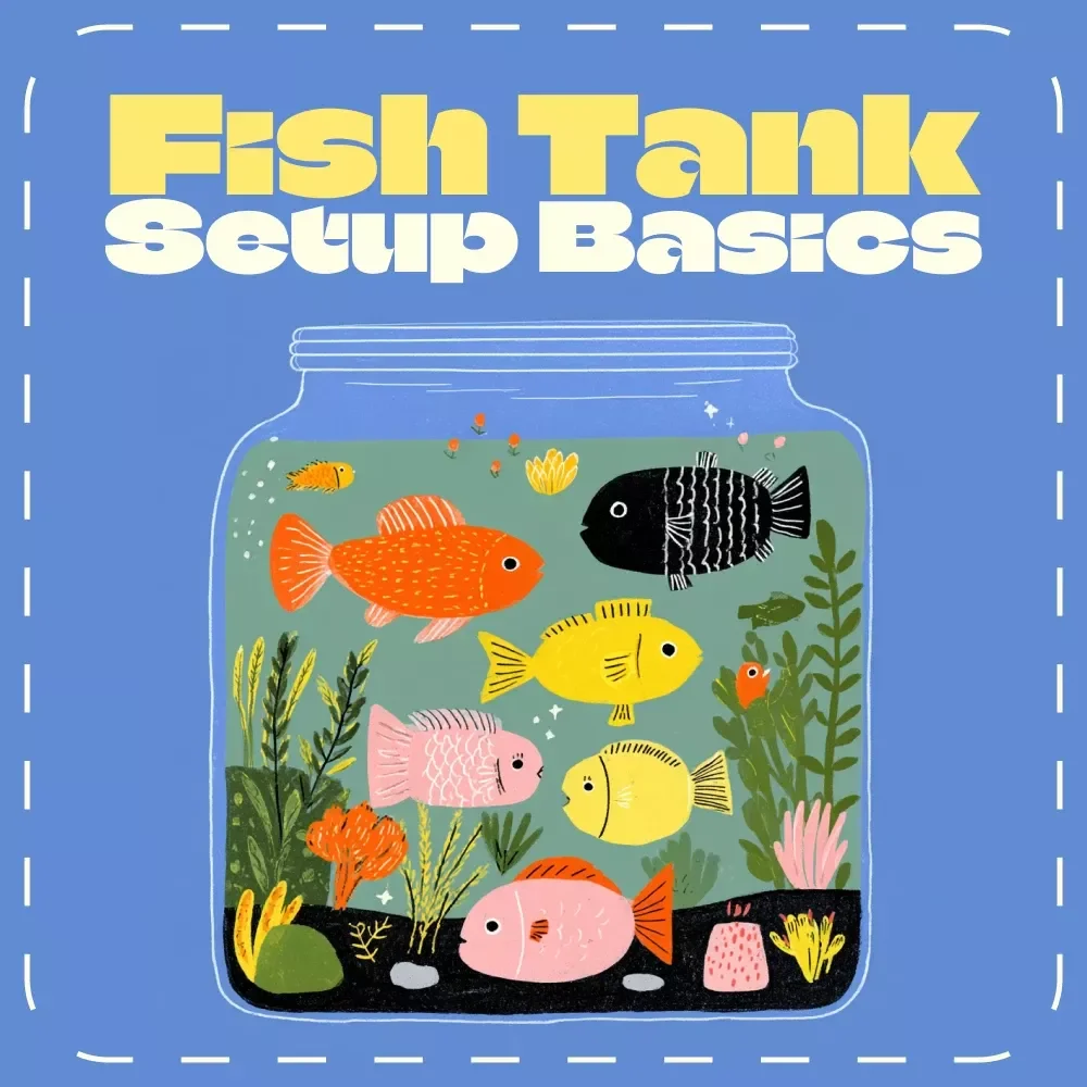 Fish Tank Setup Basics | Beginner’s Guide eBook for Freshwater & Saltwater Aquariums | Digital Download Aquarium Care & Setup Tutorial